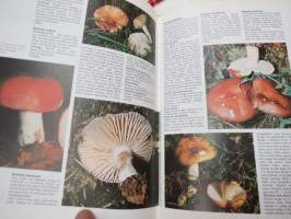 The Encyclopedia of Mushrooms