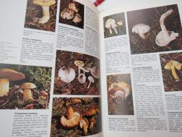 The Encyclopedia of Mushrooms