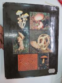 The Encyclopedia of Mushrooms