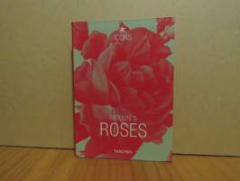 Redoute´s roses