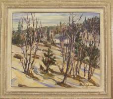 Tuntematon taiteilija,  öljyvärimaalaus  sign -46   koko 50x57 / 38x44  cm