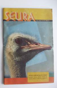 Seura 1961 nr 1 / Afrikan ympäriajo, vauvan 1. vuorokausi, Frank Sinatra, täällä Tarva