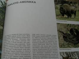 kultainen eläinkirja