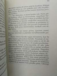 Yli rautaesiripun