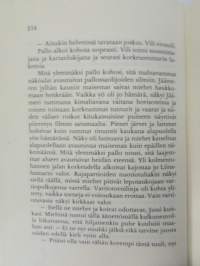 Yli rautaesiripun