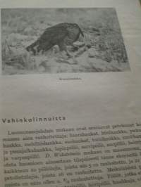 Metsästäjän käsikirja