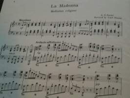 la madonna