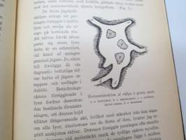 Jagtbasra däggdjurs gångarter och spår (metsästettävien nisäkkäiden jälkiä ja kulkutapoja) -game footprints and tracks