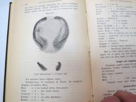 Jagtbasra däggdjurs gångarter och spår (metsästettävien nisäkkäiden jälkiä ja kulkutapoja) -game footprints and tracks