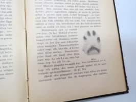 Jagtbasra däggdjurs gångarter och spår (metsästettävien nisäkkäiden jälkiä ja kulkutapoja) -game footprints and tracks