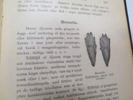 Jagtbasra däggdjurs gångarter och spår (metsästettävien nisäkkäiden jälkiä ja kulkutapoja) -game footprints and tracks