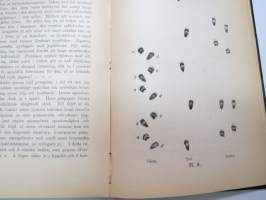 Jagtbasra däggdjurs gångarter och spår (metsästettävien nisäkkäiden jälkiä ja kulkutapoja) -game footprints and tracks