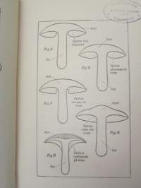 svampbok - Anvisningar  om svampars insamling, förvaring och anrättning -sienikirja