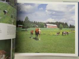 Keski-Suomi -kuvateos