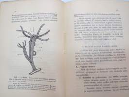 Eläintieteellisiä leikkelyharjoituksia -anatomic practices (of animals)