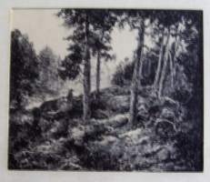 Paavo Sainio, tussipiirros , 14x16 / 26x34  cm / Paavo Sainio ( 1899 –  1982) oli suomalainen Turussa asunut graafikko ja taidemaalari.Paavo Sainio opiskeli