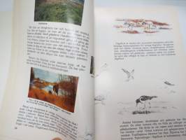 Korsholm - Hembygdsbok för lågstadiet -local history, school book