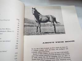 Horses