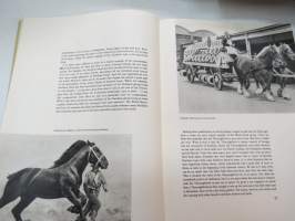 Horses