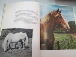Horses