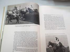 Horses