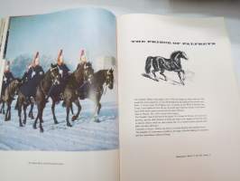 Horses