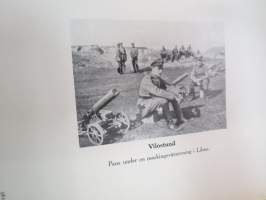 Finlands frihetskrig minnen och upplevelser I-II -memories and stories from the war of indepence