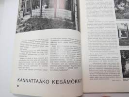 Kulma - Wulffin perhelehti 1965 nr 2, sis. mm. seur. artikkelit; Kauppaa amerikkalaisittain Tukholman sydämessä (Clas Lindström kertoo ja kuvailee - entinen