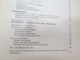 Kaskö (Kaskinen) - kontinuitet och förändring i en småstad (Folklivstudier XVI)