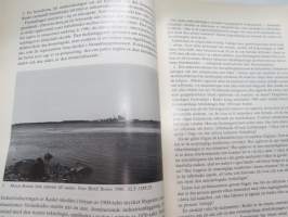 Kaskö (Kaskinen) - kontinuitet och förändring i en småstad (Folklivstudier XVI)