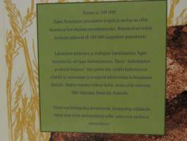Leipää ja suolaa. Kolme psalmien kirjaa