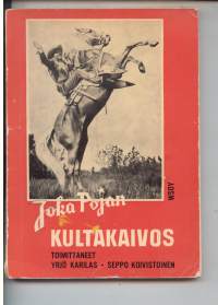 Joka Pojan Kultakaivos