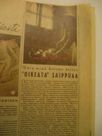 Kotiliesi 1948 nr 9, Puutarhakalusto teko-ohje sisäkannessa, Pohjan museon pukuparaati, Saippuankeitto-ohje, Valmistaudu avioliittoon, Jalostaja -takakansimainos, ym