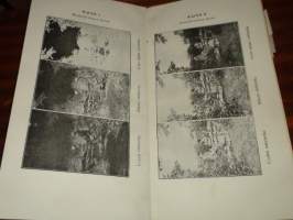 Valokuvauksen Käsikirja 1905