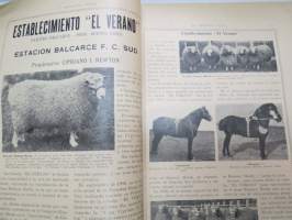 La Argentina Rural Retrospecto Anual 1910 - Argentiinan maaseudun / maanviljelyksen / karjankasvatuksen vuosikirja, sisltää mm. siitoseläinten kuvia, eri