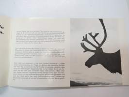 Lapplands Holz - Kemi Oy - Perä-Pohjolan puun matka jalostettuna kohti vientimarkkinoita - saksankielinen metsätaloutta esittelevä kirja -Lapland´s timber and