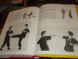 Wing Tshun kuen -  Wing Chun budo