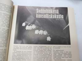 Kauneus ja terveys 1967 nr 1 (tammikuu), sis. mm. seur. artikkelit / kuvat / mainokset; Pitääkö potilaalle kertoa totuus?, Sadistin ja masokistin avioliitto,