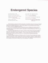 USA - 1996, October 2nd: Endangered Species/Eläinlajit, jotka ovat vaarassa kuolla sukupuuttoon.Ensipäiväleima, valmis kokoelmasivu sisältää sekä itse