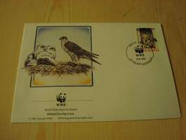 Lintu, WWF, Islanti, 1992, ensipäiväkuori, FDC. Hieno esim. lahjaksi. Katso myös muut kohteeni mm. noin 1 500 erilaista ulkomaista ensipäiväkuorta 1920-luvulta