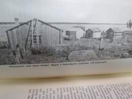Närpes kommun 100 år -local history