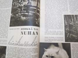 Kotiliesi 1941 nr 13, sis. mm. seur. artikkelit / kuvat / mainokset; Kansikuvitus Martta Wendelin, Emännän esiliina, Pikku kansalaisen tervetuliaiset - uudet
