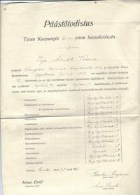 Päästötodistus Turun Kaupungin IV piirin kansakoulusta  1925 - todistus