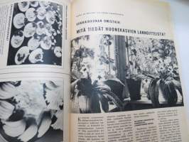 Kotiliesi 1968 nr 8, huhtikuu II-numero, ilmestynyt 11.4.1968, sis. mm. seur. artikkelit / kuvat / mainokset; Kansikuva Hans Jesse - &quot;Iloista pääsiäistä&quot;, Kieku