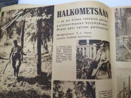 Suomen Kuvalehti 1942 nr 31, ilmestynyt 1.8.1942, sis. mm. seur. artikkelit / kuvat / mainokset; Kansikuva &quot;Selkkin neitosia kansallispuvuissaan&quot;, Kapteeni Väinö