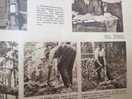 Suomen Kuvalehti 1942 nr 31, ilmestynyt 1.8.1942, sis. mm. seur. artikkelit / kuvat / mainokset; Kansikuva &quot;Selkkin neitosia kansallispuvuissaan&quot;, Kapteeni Väinö