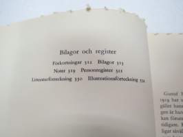 Riksföreståndaren - Gustaf Mannerheim 1919 -biography
