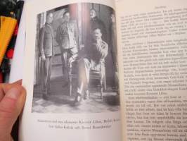 Riksföreståndaren - Gustaf Mannerheim 1919 -biography
