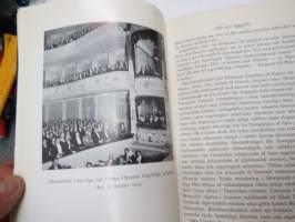 Riksföreståndaren - Gustaf Mannerheim 1919 -biography