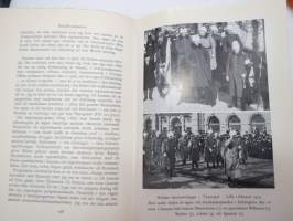 Riksföreståndaren - Gustaf Mannerheim 1919 -biography